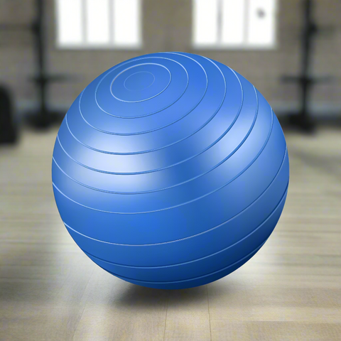 Large Exercise Ball