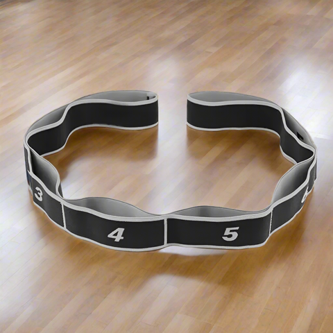 Exercise belt with bands